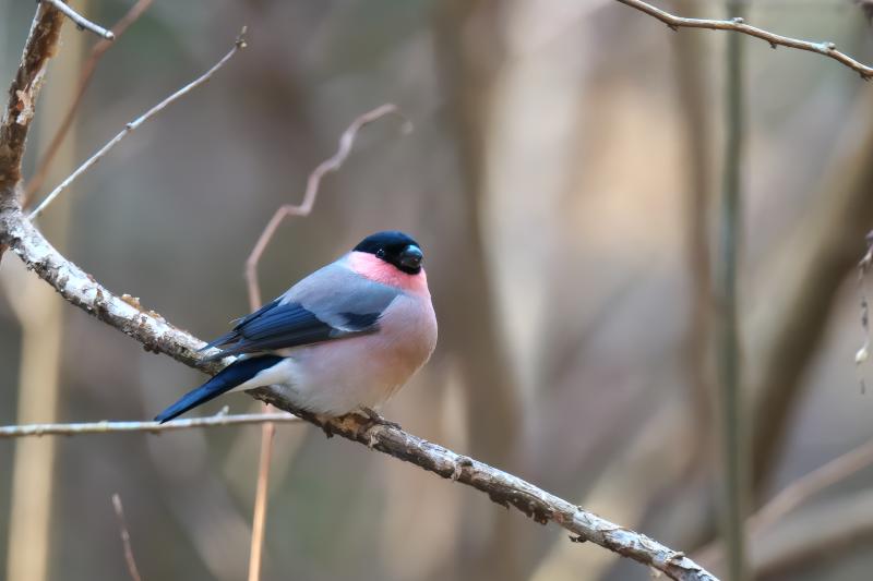 �E�\�@2025�N1��28���@��t��