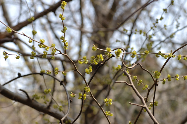 �A�u���`����