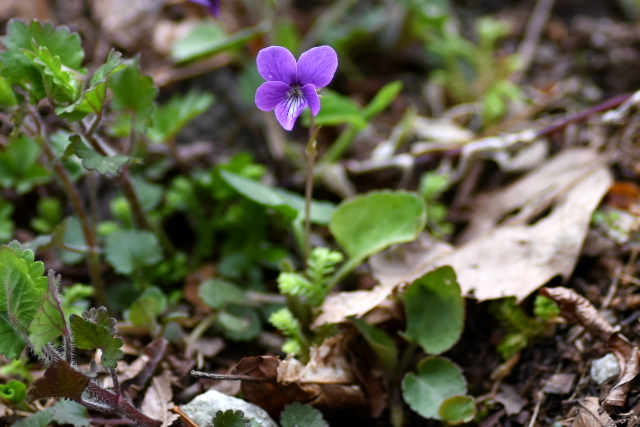 �A�J�l�X�~��