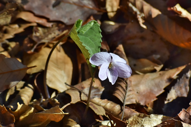 �A�P�{�m�X�~��