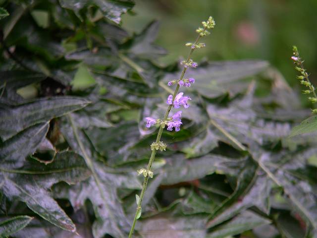 �A�L�m�^�����\�E