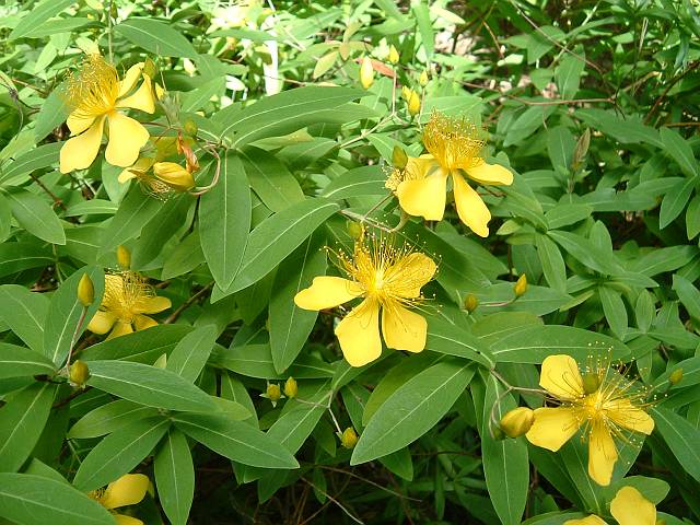 �r���E���i�M