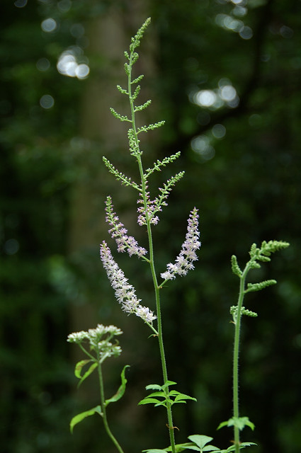 �`�_�P�T�V