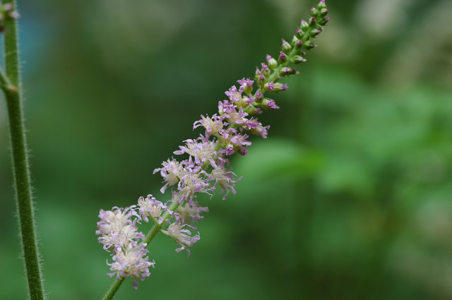 �`�_�P�T�V