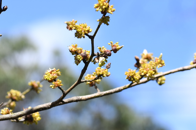 �_���R�E�o�C