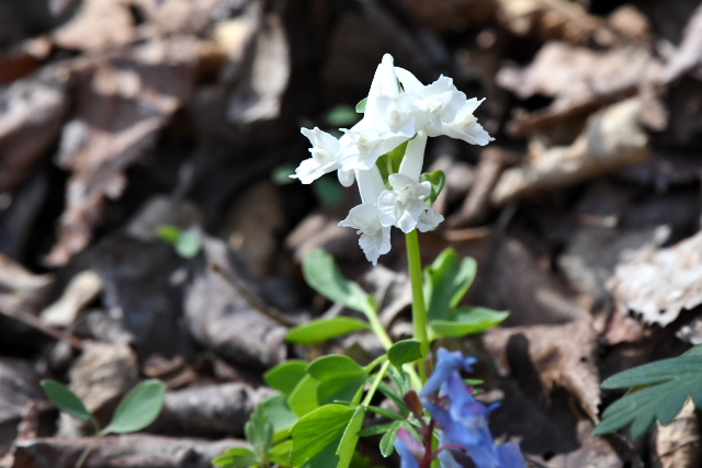 �G�]�G���S�T�N