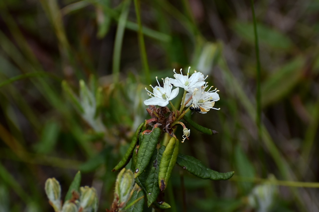 �G�]�C�\�c�c�W