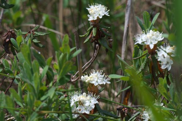 �G�]�C�\�c�c�W