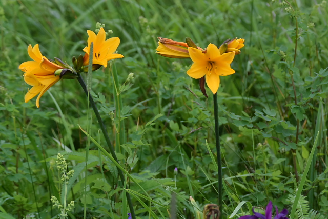 �G�]�J���]�E