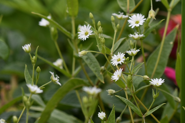 �G�]�I�I���}�n�R�x