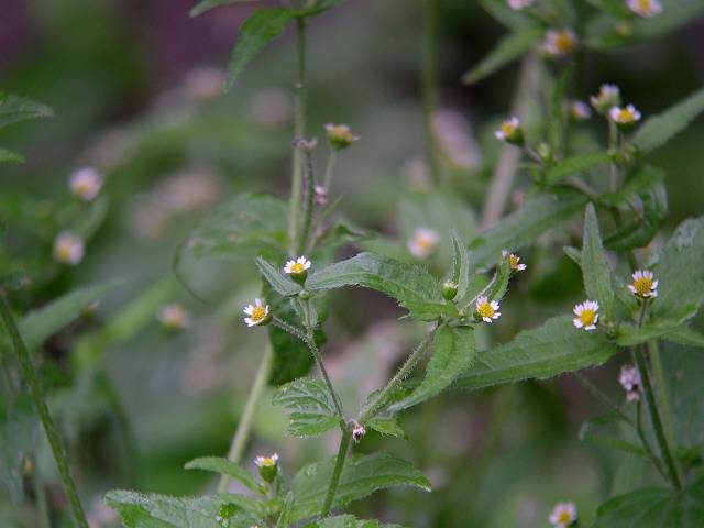 �n�L�_���M�N