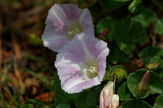 �n�}�q���K�I