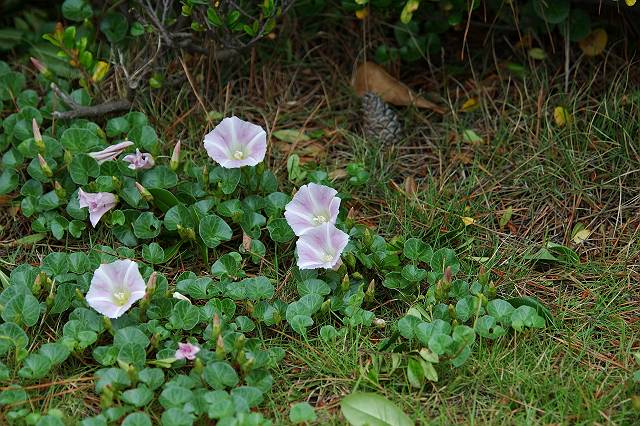 �n�}�q���K�I