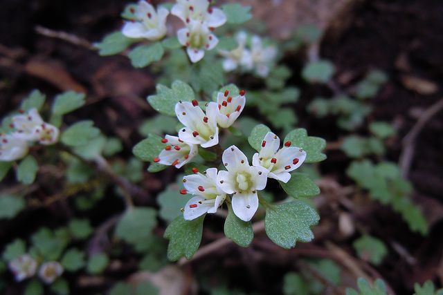 �n�i�l�R�m��