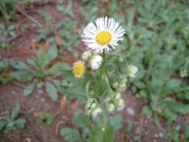 �n���W����