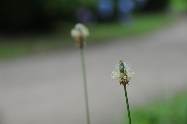 �w���I�I�o�R