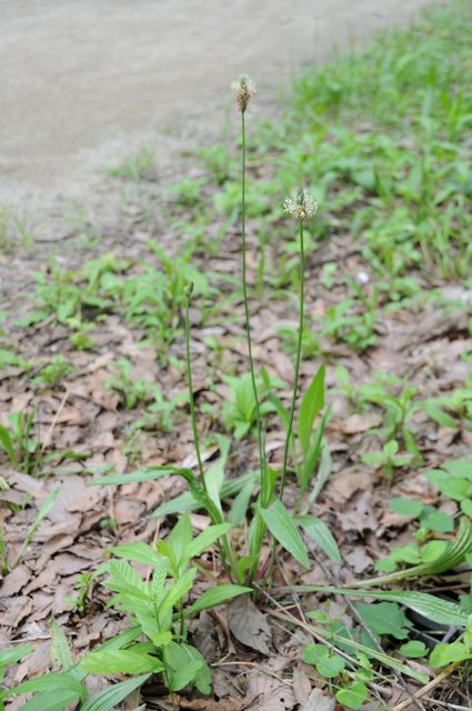 �w���I�I�o�R