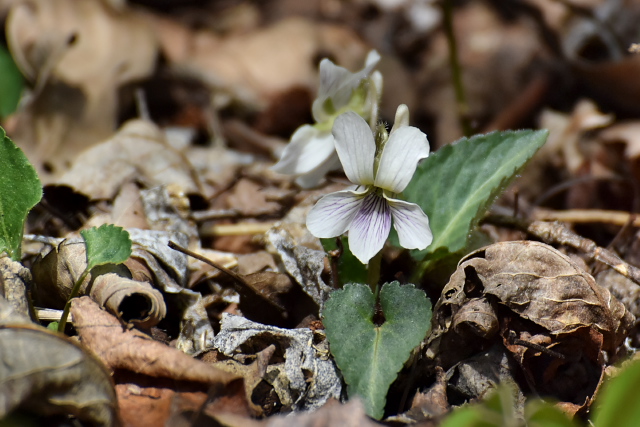 �q�J�Q�X�~��