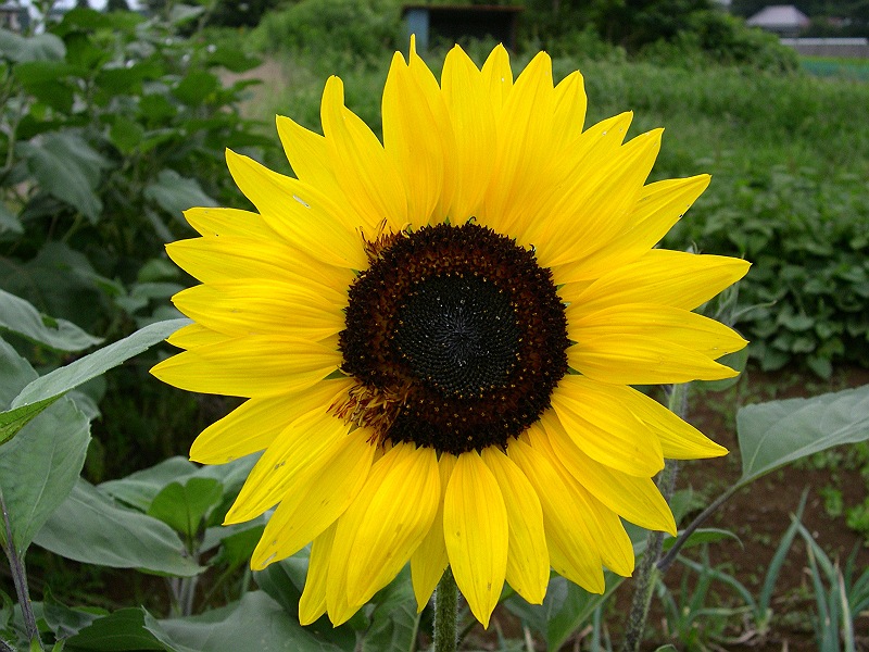 �q�}����