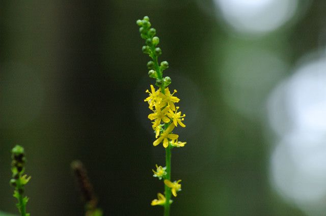 �q���L���~�Y�q�L