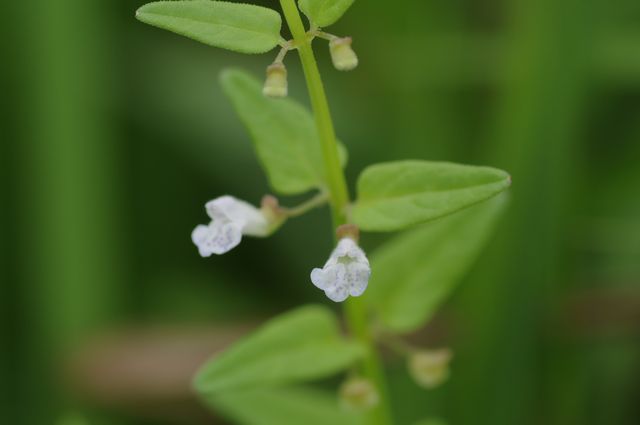 �q���i�~�L