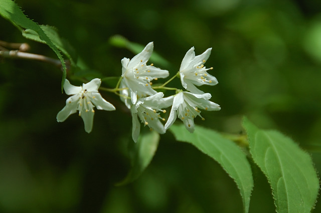 �q���E�c�M