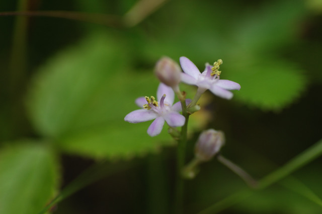 �q�����u����