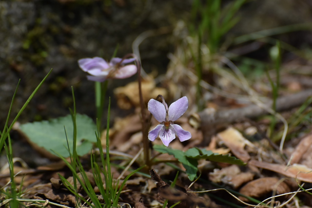 �q�i�X�~��