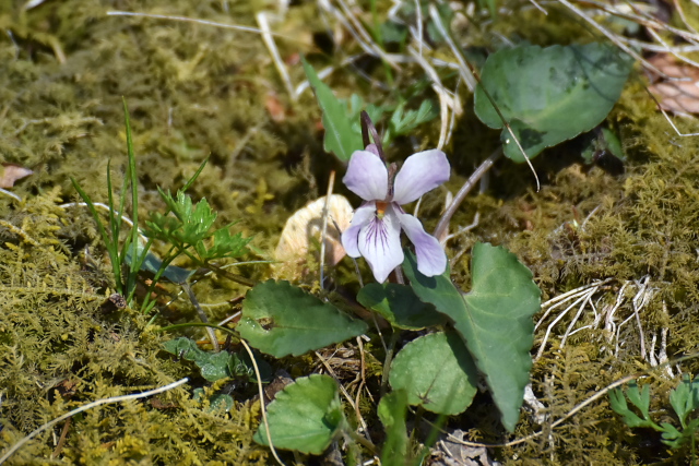 �q�i�X�~��