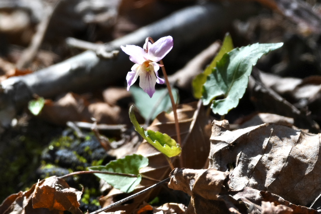 �q�i�X�~��