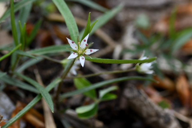 �q�i���`�K�C�\�E