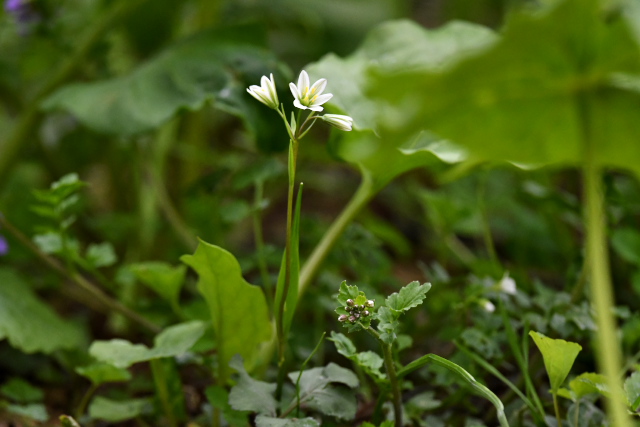 �z�\�o�m�A�}�i