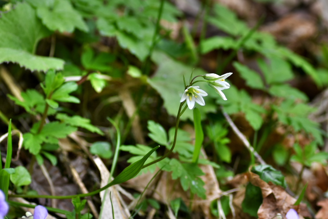 �z�\�o�m�A�}�i