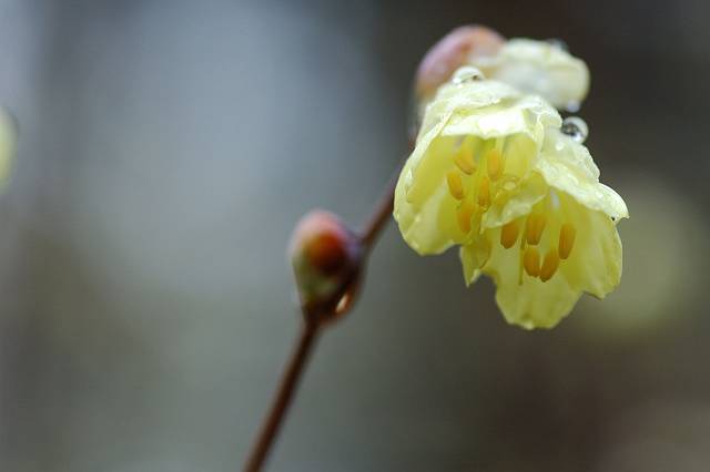 �q���E�K�~�Y�L