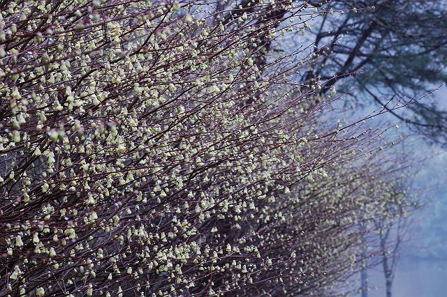 �q���E�K�~�Y�L