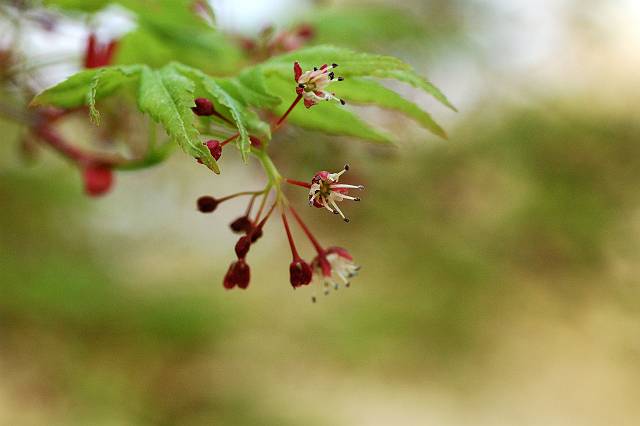 �C���n���~�W