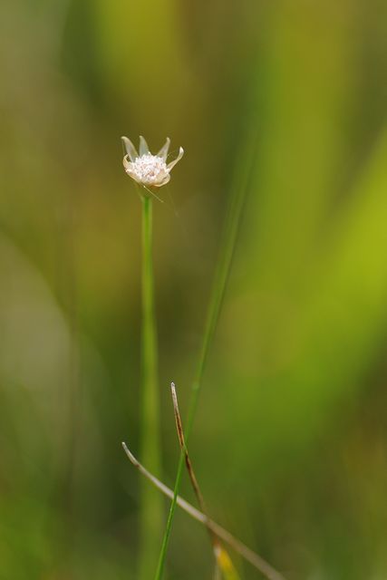 �C�g�C�k�m�q�Q