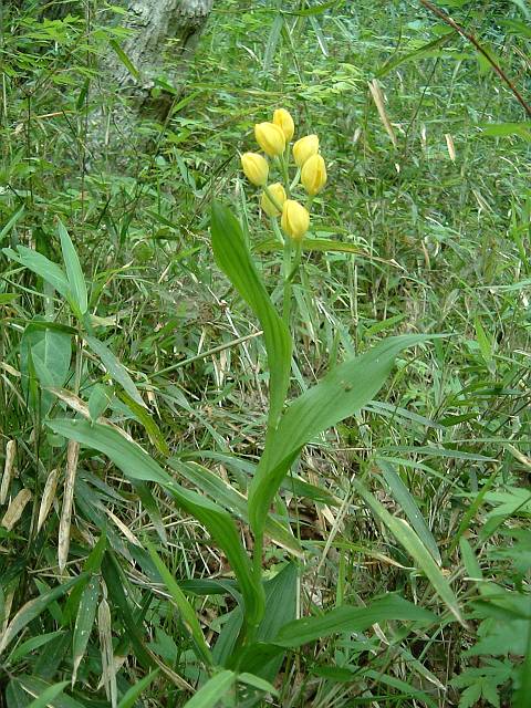 �L������