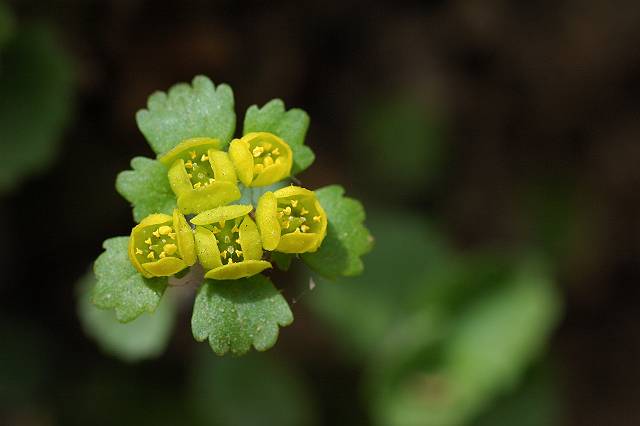 �R�K�l�l�R�m���\�E