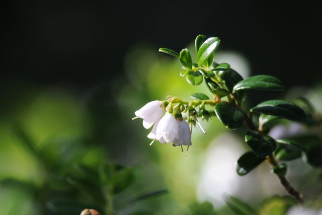 �R�P����