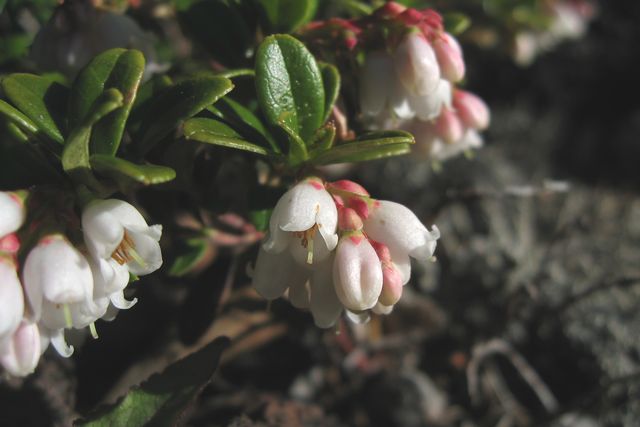 �R�P����