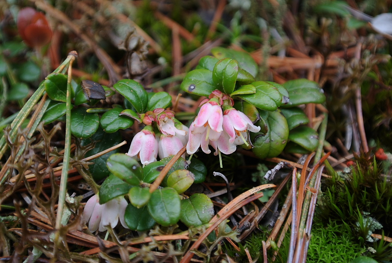 �R�P����