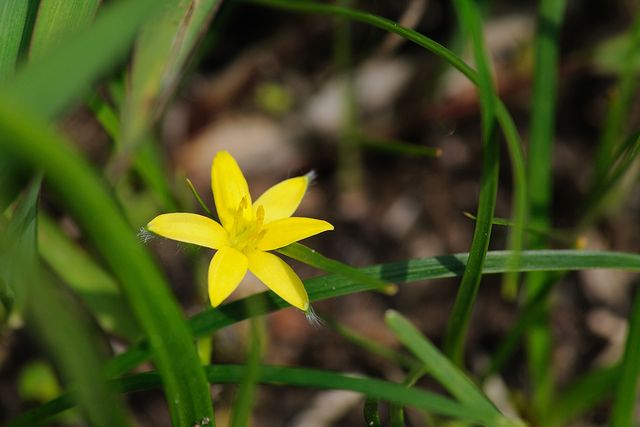 �R�L���o�C�U�T