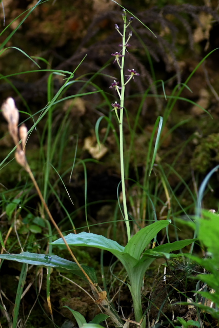 �R�N����