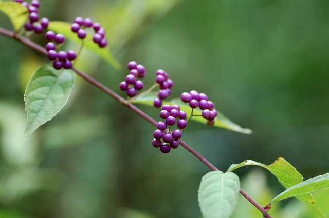 �R�����T�L�V�L�u