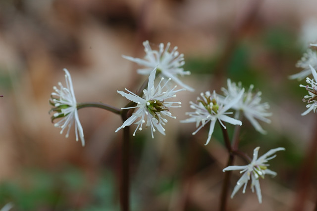 �R�Z���o�I�E����