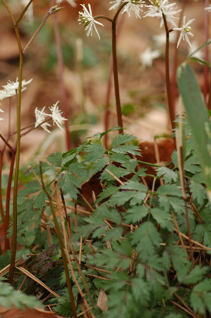 �R�Z���o�I�E����