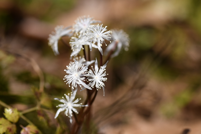 �R�Z���o�I�E����