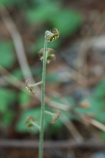 �R�`���������\�E