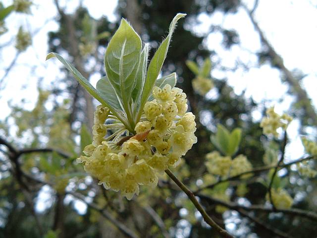 �N�����W